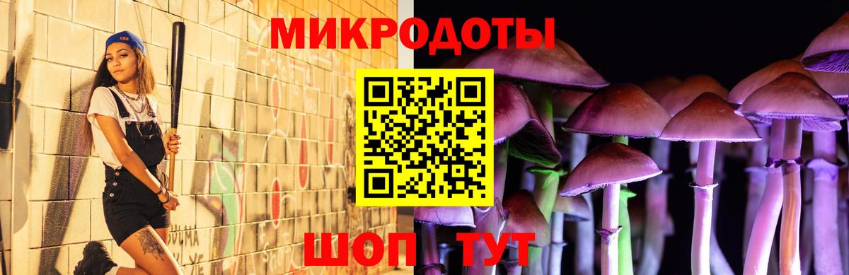 Галлюциногенные грибы Psilocybine cubensis  Вход с VPN  Чапаевск 